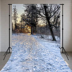Winter Forest Snow Sweep Photography Backdrop - Layoris
