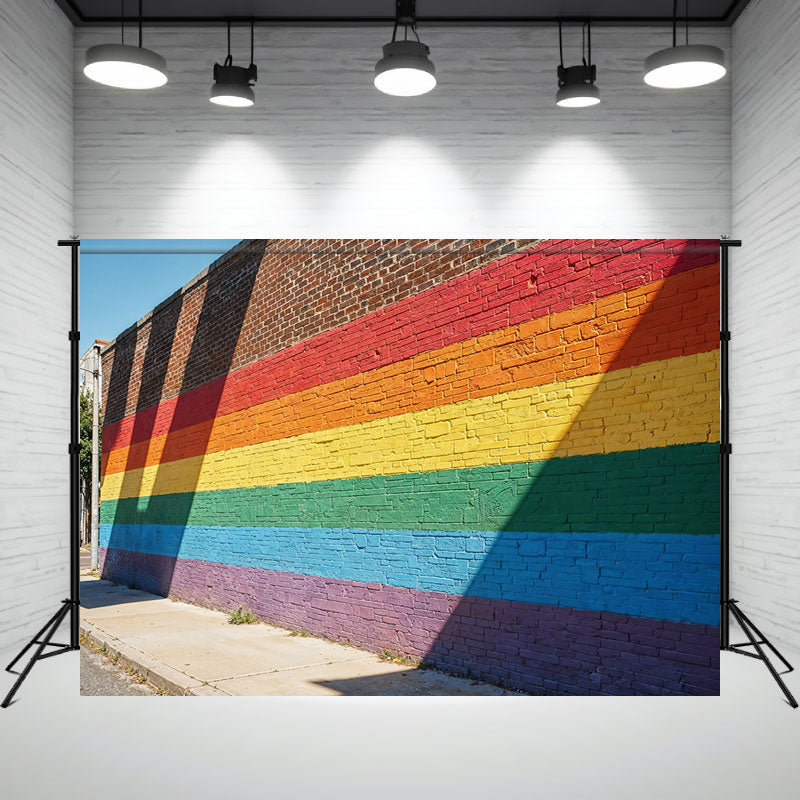 Street Rainbow Brick Wall Photography Backdrop - Layoris