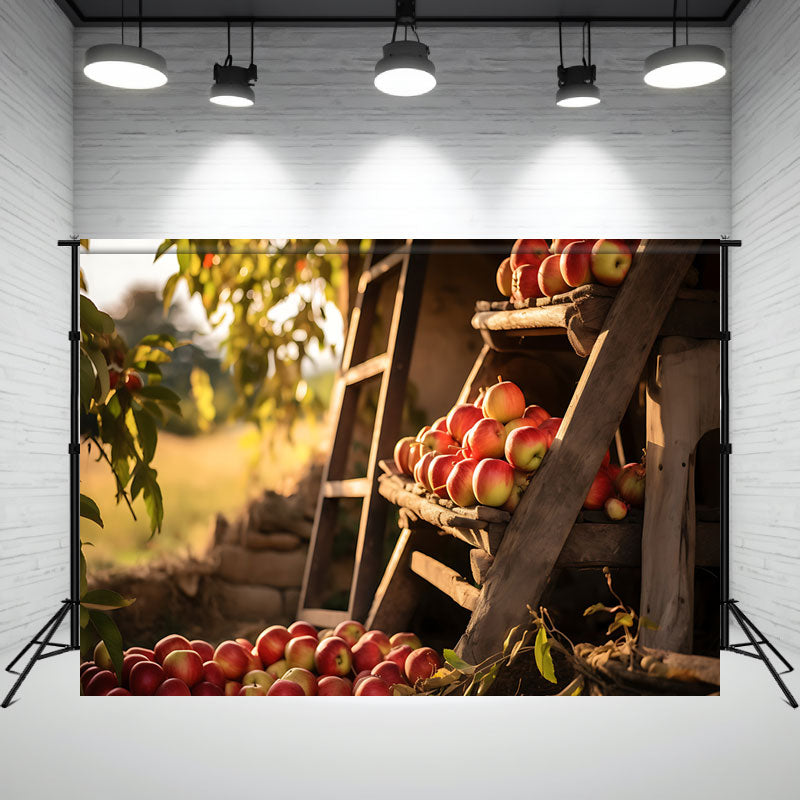 Apple Store Wooden Ladder Portrait Backdrop - Layoris