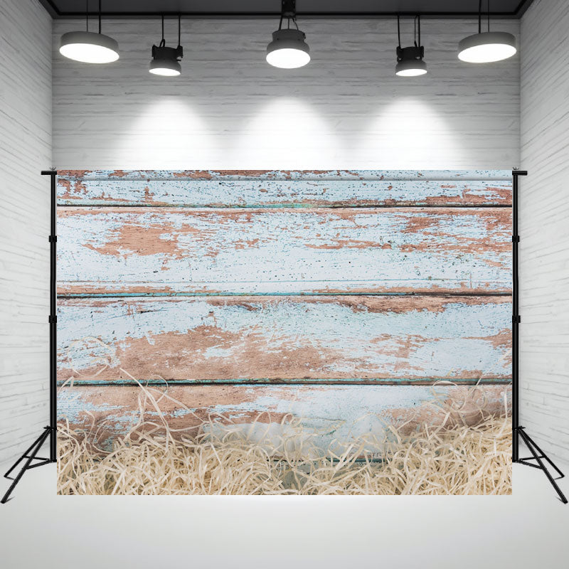 Light Blue Wood Grain Hay Photo Backdrop - Layoris