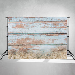 Light Blue Wood Grain Hay Photo Backdrop - Layoris