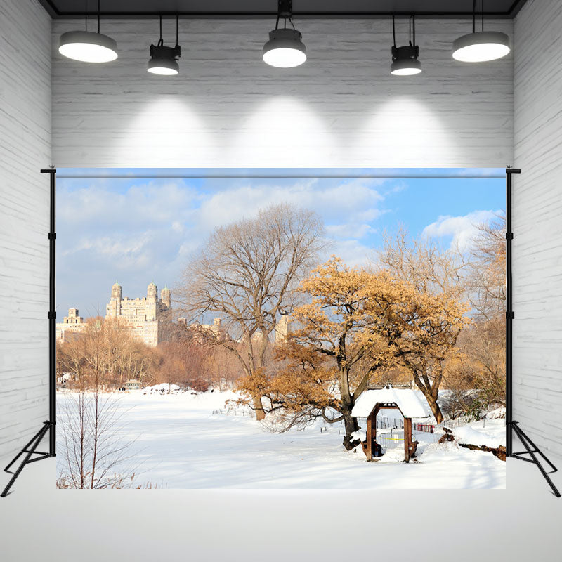 Snow Covered Village In Winter Portrait Backdrop - Layoris