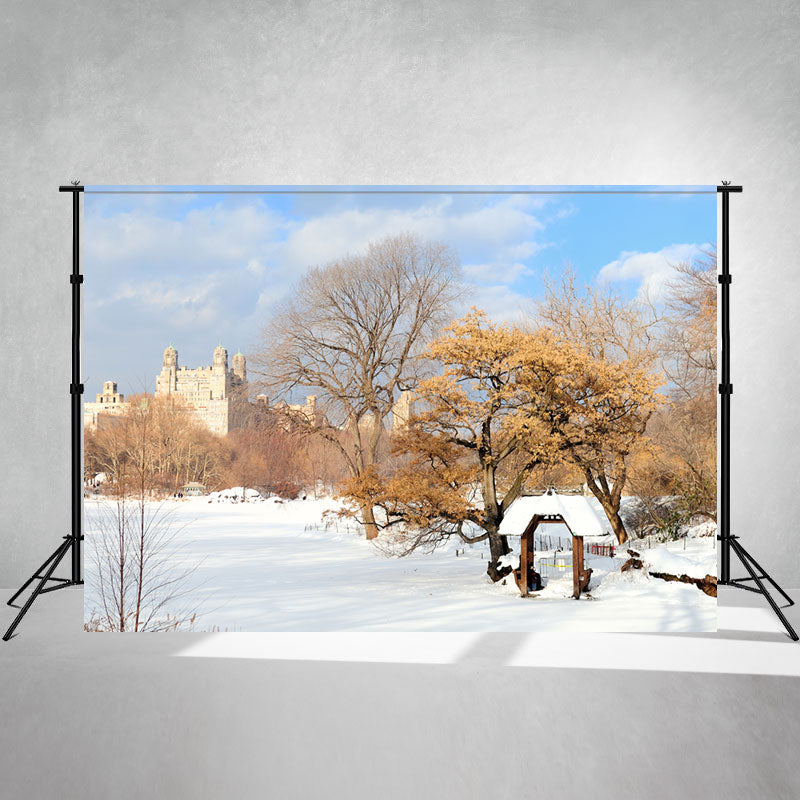 Snow Covered Village In Winter Portrait Backdrop - Layoris
