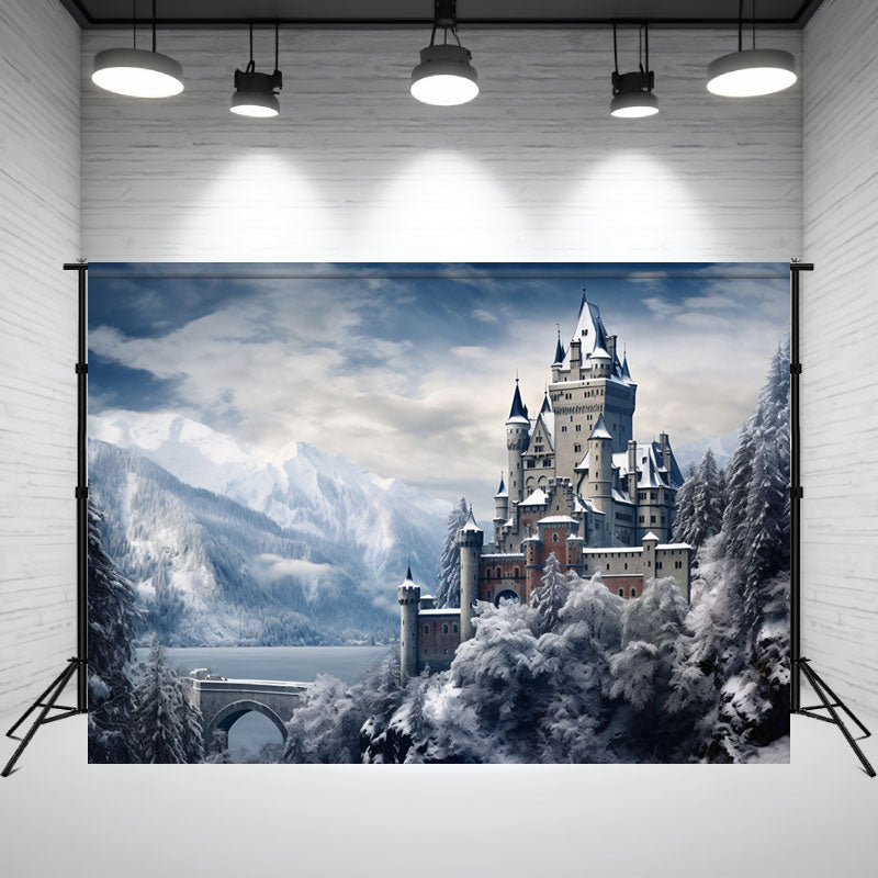 Cartoon Snow Mountain Castle Portrait Photo Backdrop - Layoris