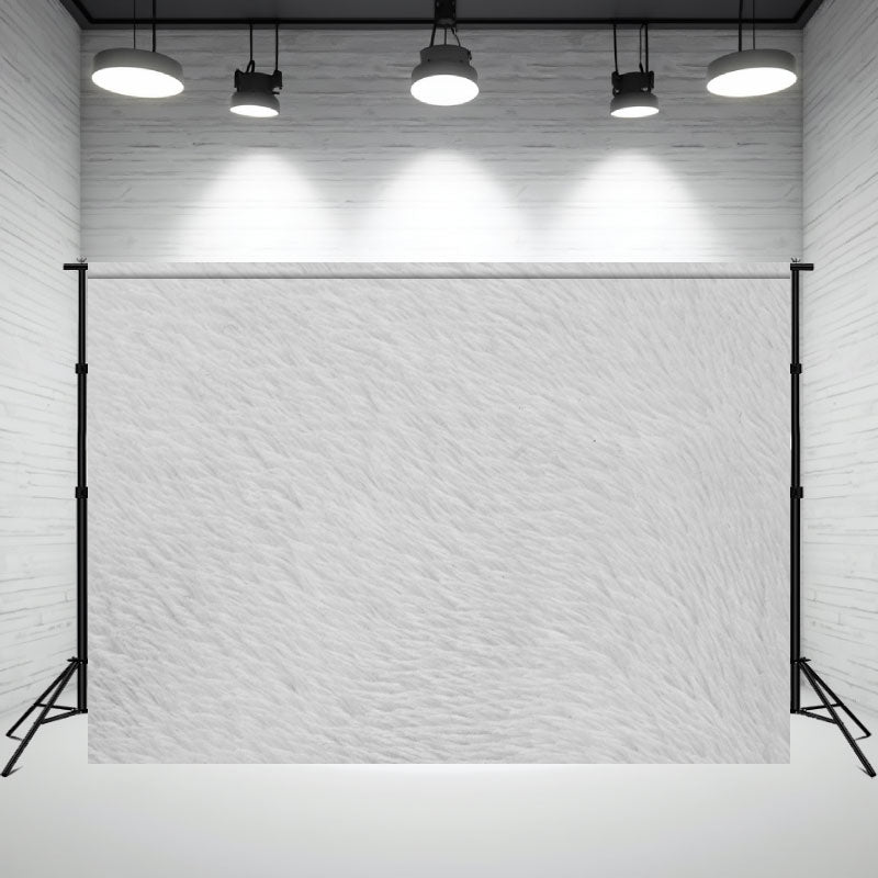 Light Grey Plush Blanket Portrait Photography Backdrop - Layoris