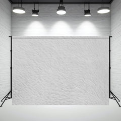 Light Grey Plush Blanket Portrait Photography Backdrop - Layoris