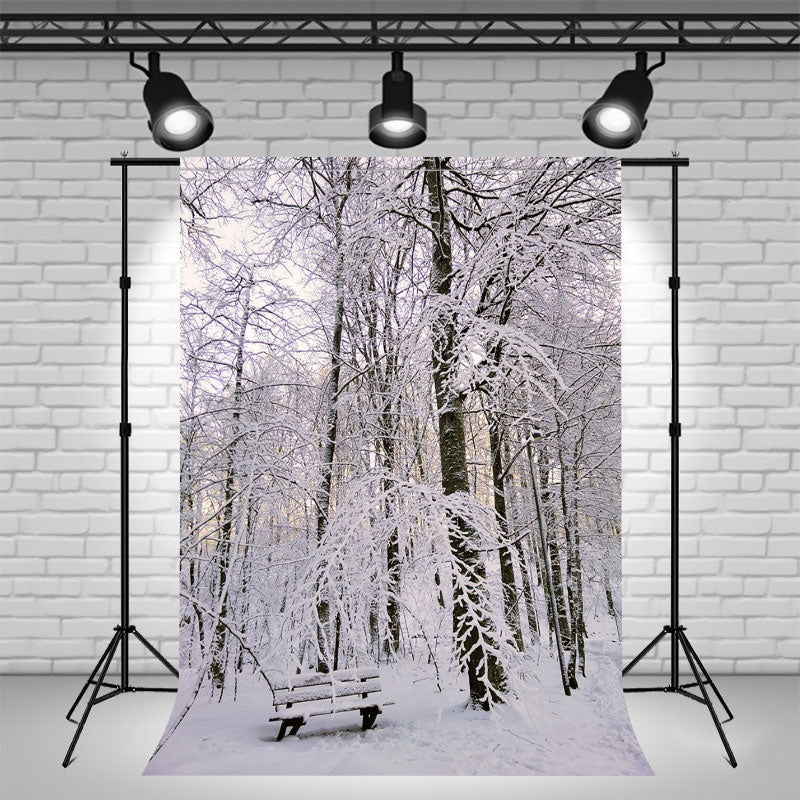 Snow Covered Woods And Chairs Winter Backdrop - Layoris
