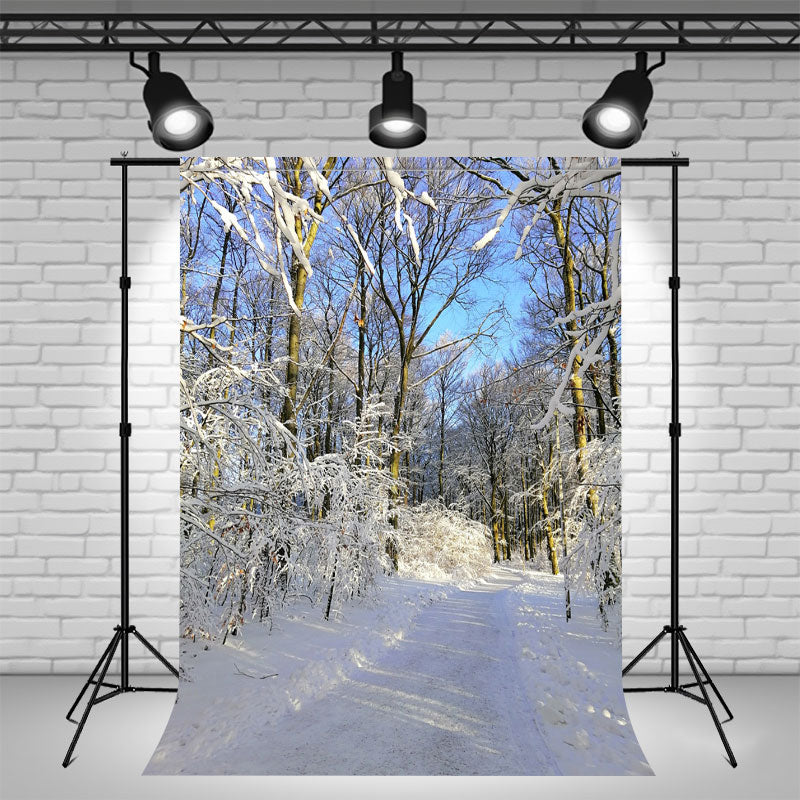 Sunlight Shining Through Snow Covered Woods Backdrop - Layoris