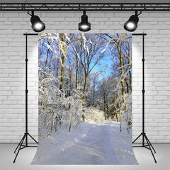 Sunlight Shining Through Snow Covered Woods Backdrop - Layoris