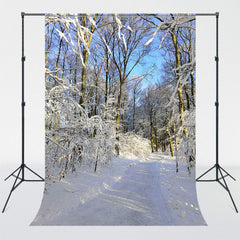 Sunlight Shining Through Snow Covered Woods Backdrop - Layoris