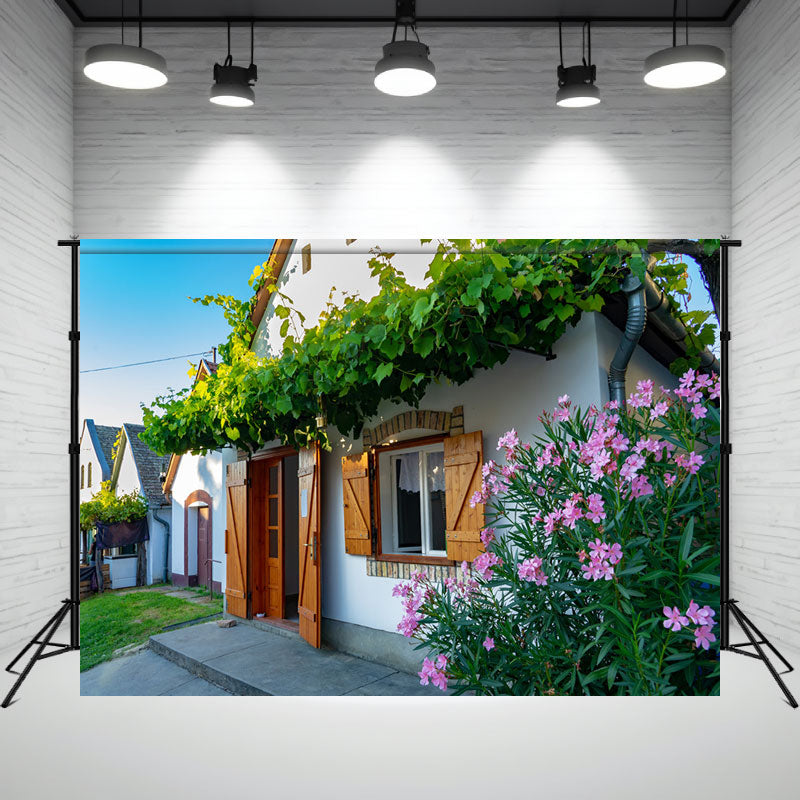 Hajos Colorful Cellar Architecture Backdrop - Layoris