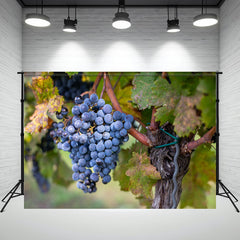 Ripe Grapes In A Hungarian Vineyard Backdrop - Layoris