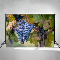 Ripe Grapes In A Hungarian Vineyard Backdrop - Layoris