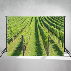 Green Grape Vines At The Winery Photo Backdrop - Layoris