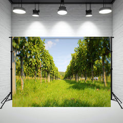 Hungarian Wine Vineyards Grapes Backdrop - Layoris