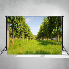 Hungarian Wine Vineyards Grapes Backdrop - Layoris