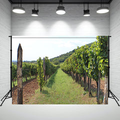 Beautiful Hungarian Vineyards Backdrop - Layoris