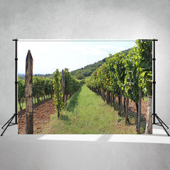 Beautiful Hungarian Vineyards Backdrop - Layoris