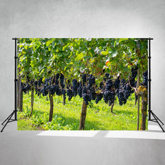 Beautiful Hungarian Red Grapes Backdrop - Layoris