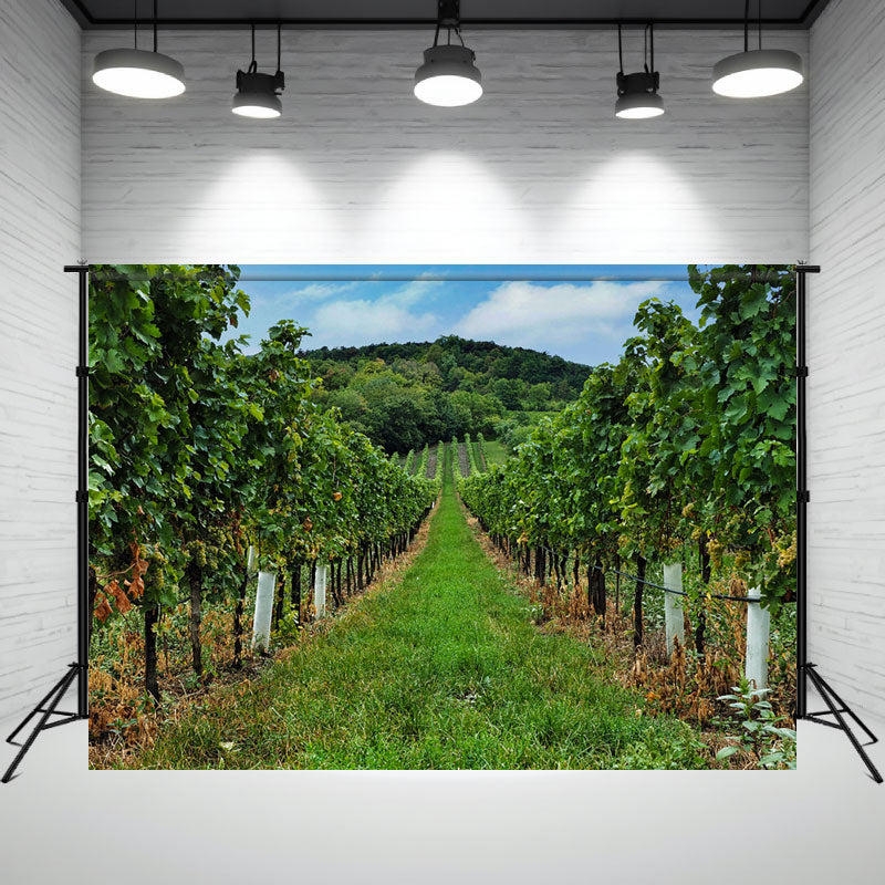 Vineyard Panorama Photography Backdrop - Layoris