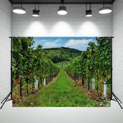 Vineyard Panorama Photography Backdrop - Layoris