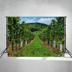 Vineyard Panorama Photography Backdrop - Layoris