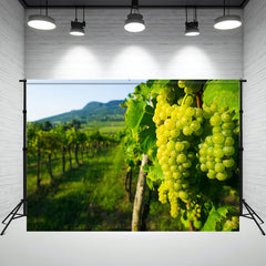 Wine Grapes In A Hungarian Vineyard Backdrop - Layoris