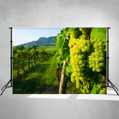 Wine Grapes In A Hungarian Vineyard Backdrop - Layoris