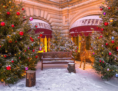 Store Chair Christmas Tree Holiday Photo Backdrop - Layoris