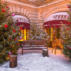 Store Chair Christmas Tree Holiday Photo Backdrop - Layoris