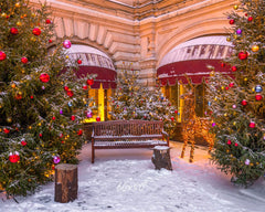 Store Chair Christmas Tree Holiday Photo Backdrop - Layoris