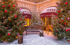 Store Chair Christmas Tree Holiday Photo Backdrop - Layoris