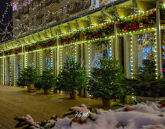 Street Shop Green Light String Christmas Backdrop - Layoris