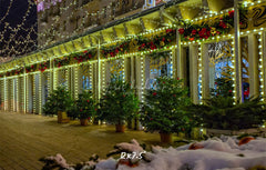 Street Shop Green Light String Christmas Backdrop - Layoris