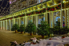 Street Shop Green Light String Christmas Backdrop - Layoris