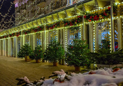 Street Shop Green Light String Christmas Backdrop - Layoris