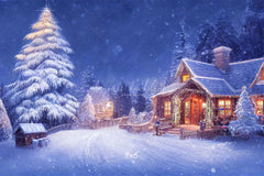 Charming Winter House Snow Photo Backdrop - Layoris