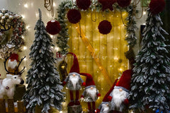 Christmas Gnomes Wreath Holiday Photo Backdrop - Layoris