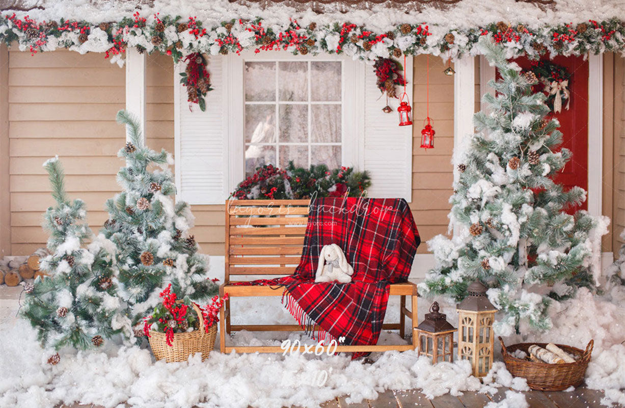 Yard After The Snow Christmas Photo Backdrop - Layoris