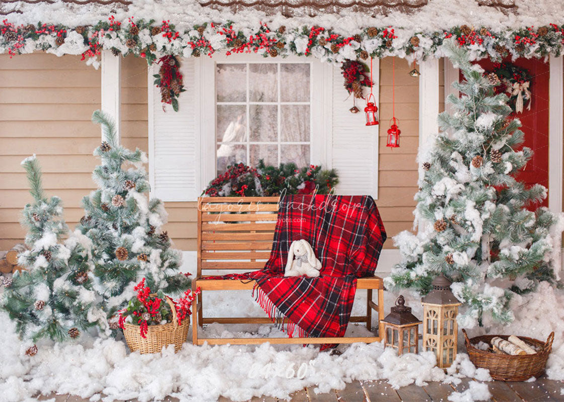 Yard After The Snow Christmas Photo Backdrop - Layoris