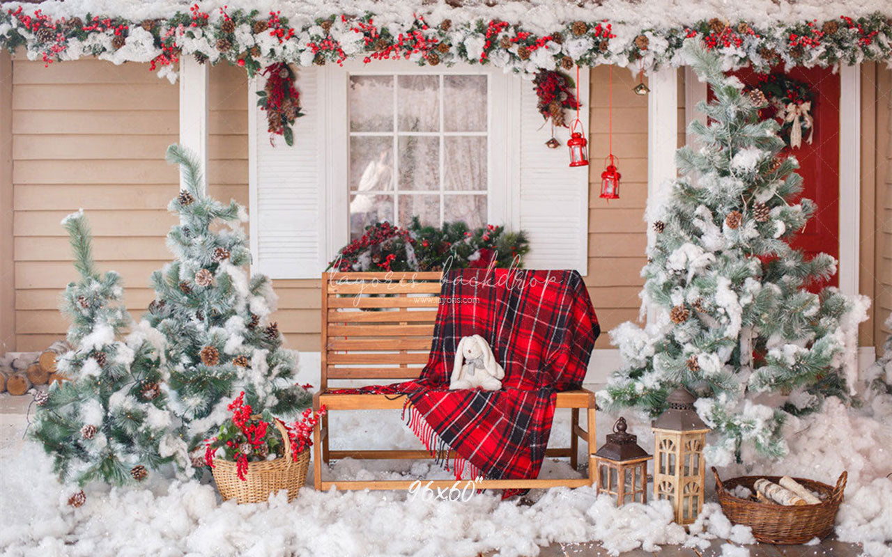 Yard After The Snow Christmas Photo Backdrop - Layoris