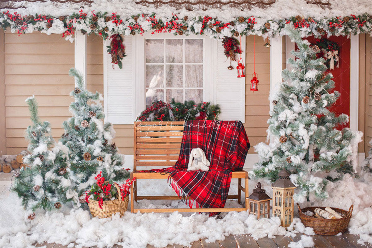Yard After The Snow Christmas Photo Backdrop - Layoris