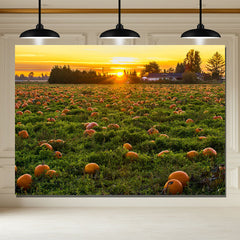 Layoris Harvest Pumpkin Sunset Thanksgiving Backdrop