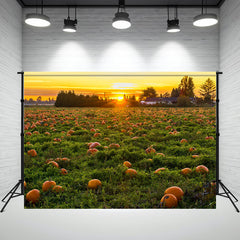 Layoris Harvest Pumpkin Sunset Thanksgiving Backdrop