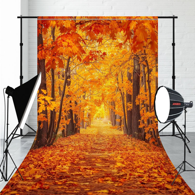 Red Maple Forest Sweep Photo Backdrop - Layoris