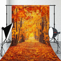 Red Maple Forest Sweep Photo Backdrop - Layoris