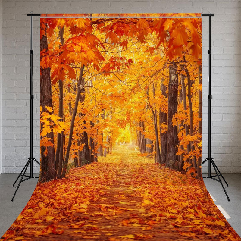 Red Maple Forest Sweep Photo Backdrop - Layoris
