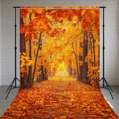 Red Maple Forest Sweep Photo Backdrop - Layoris