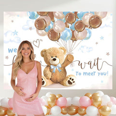 Layoris We Can Bearly Wait Brown Blue Balloons Baby Shower Banner