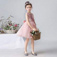 Pink Princess Dress for Event And Portrait